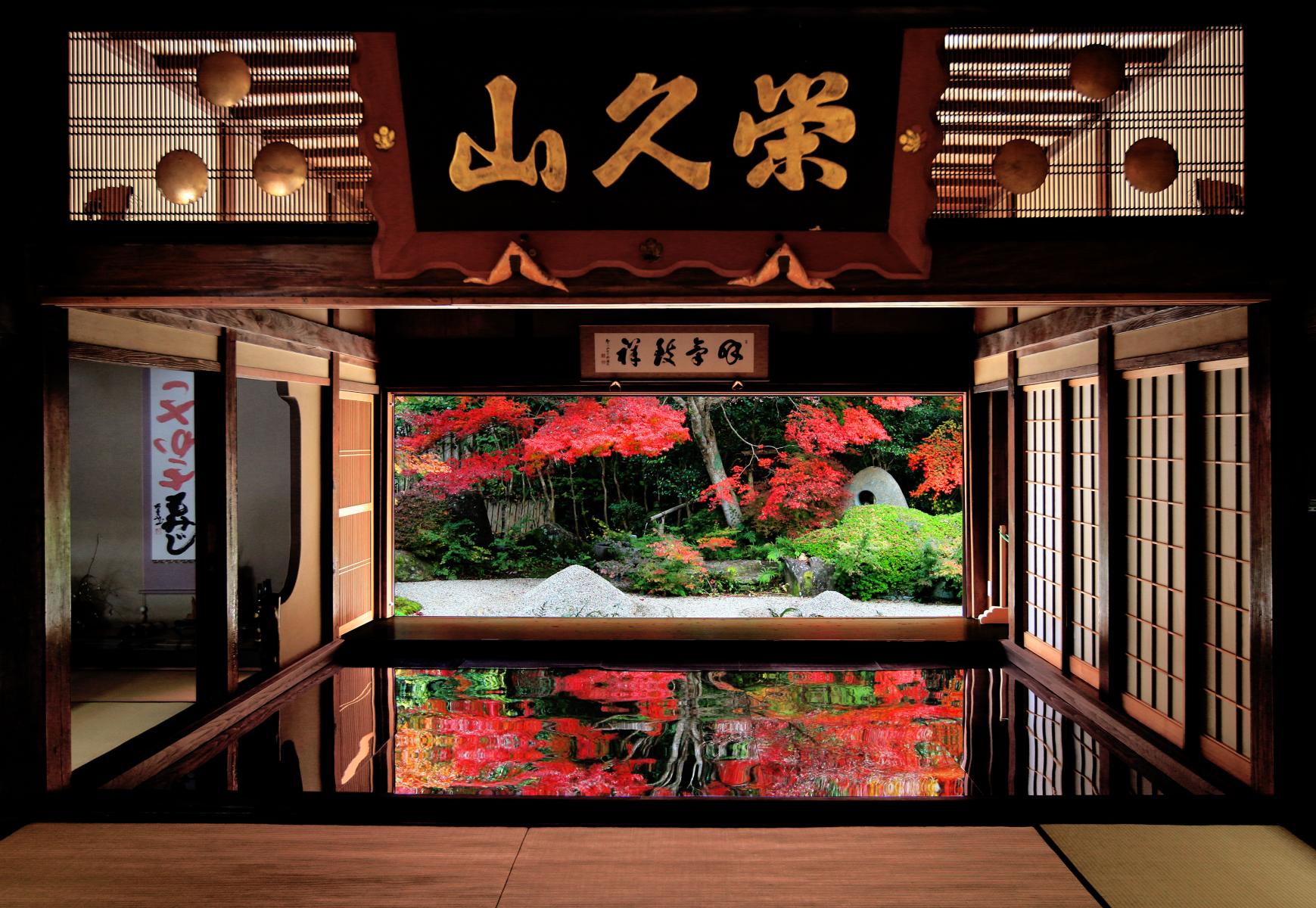 この秋、紅葉と花を巡る旅へ