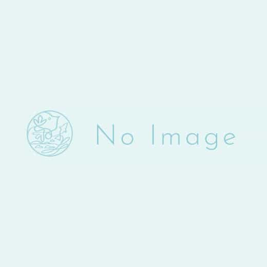 MOTTOハウステンボス‼MOTTO佐世保‼