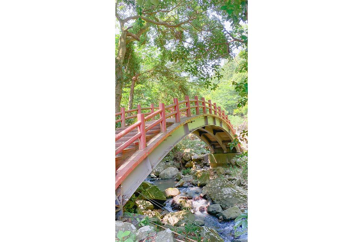 ④潜竜ヶ滝公園の道-2