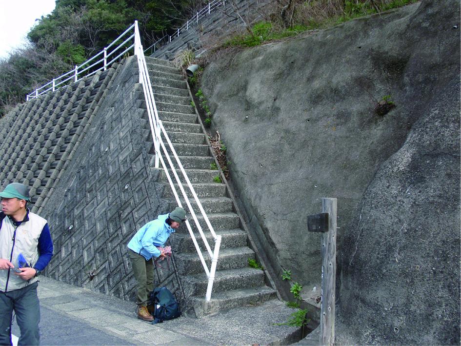 深い森の山道を登っていく-0