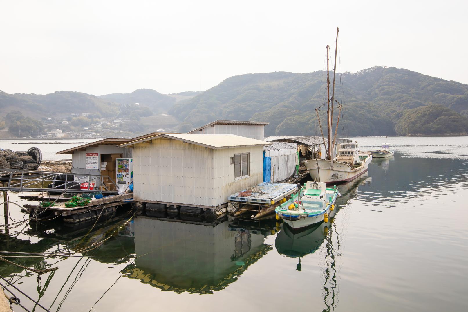 海に浮かぶ海上かき小屋で九十九島かきを爆食い！-3