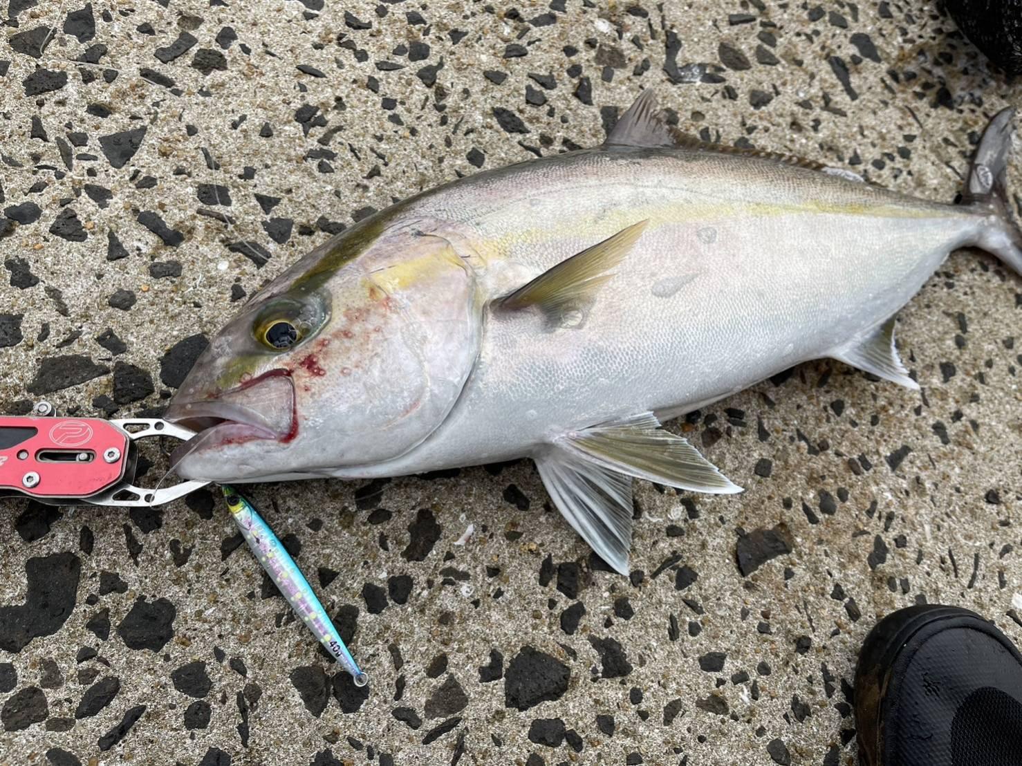 釣りの聖地！「離島」-1