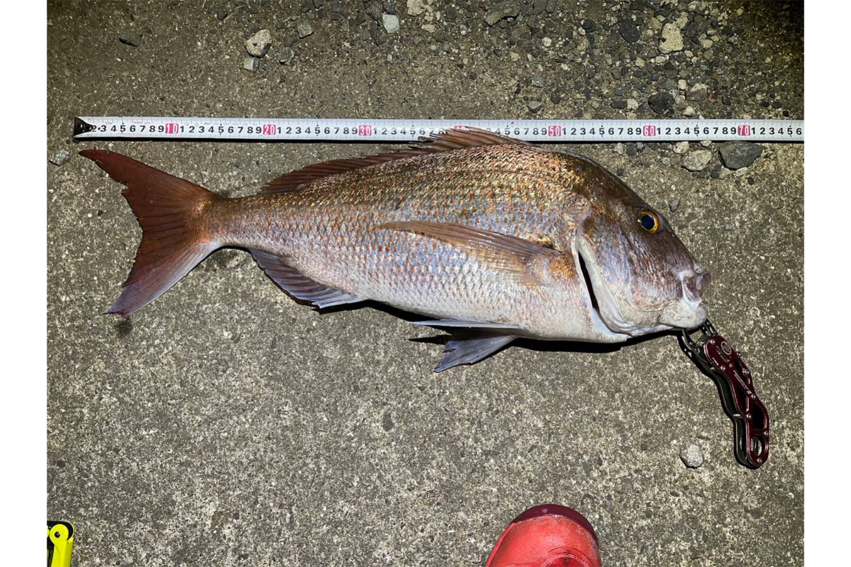 釣りの聖地！「離島」-0