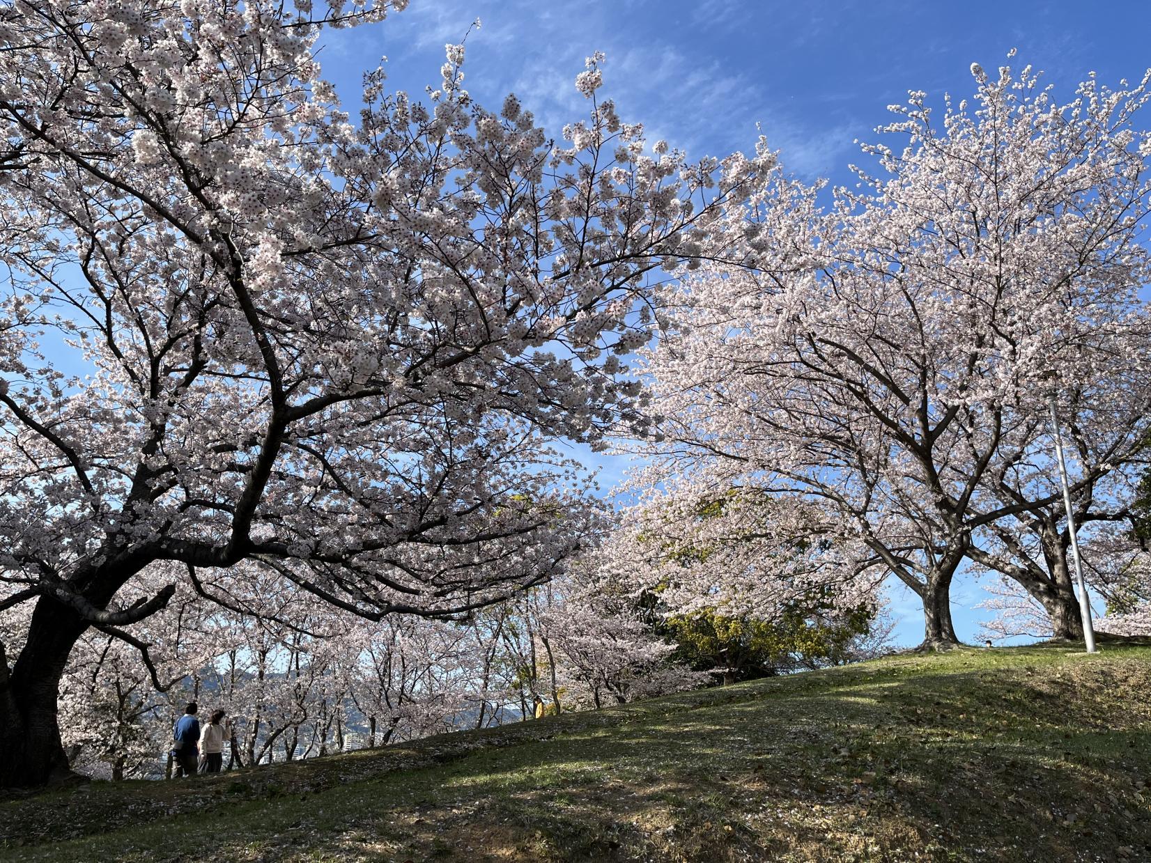 干尽公園-0