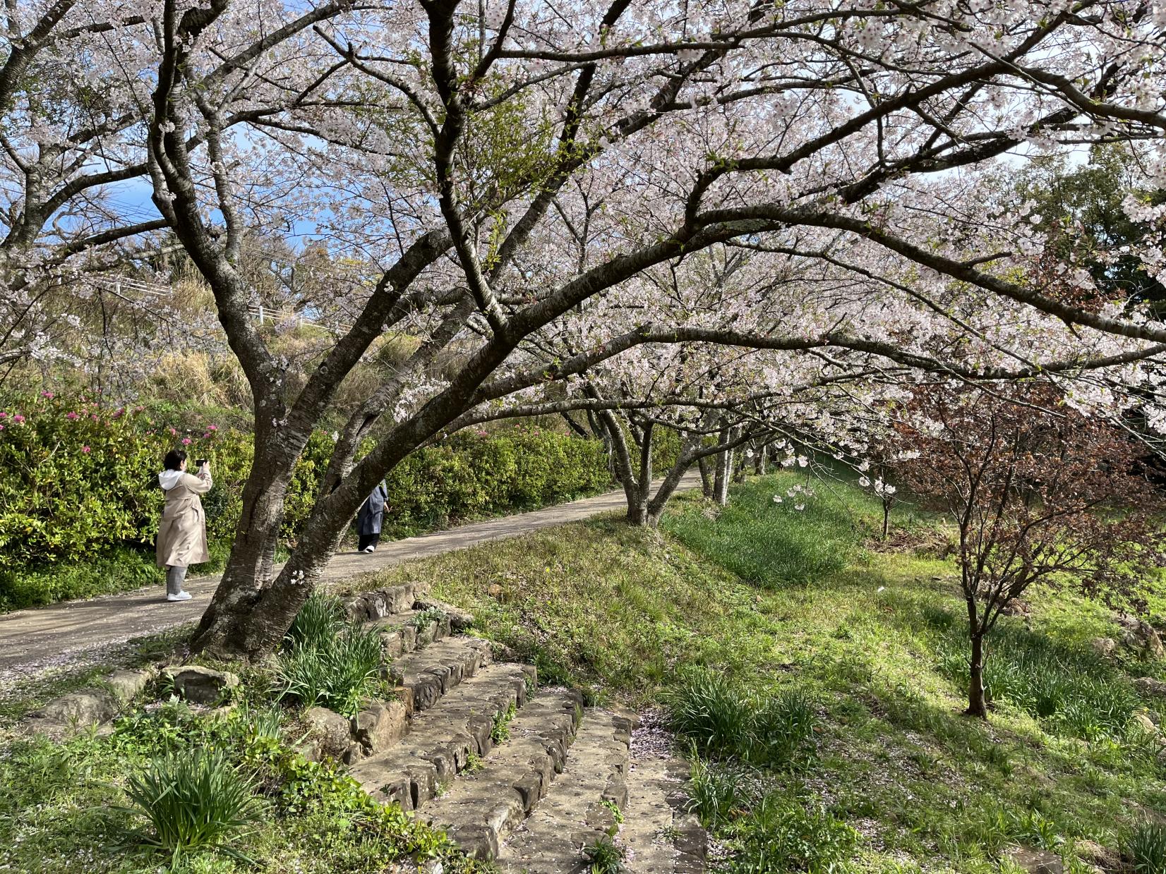 花の森公園-2