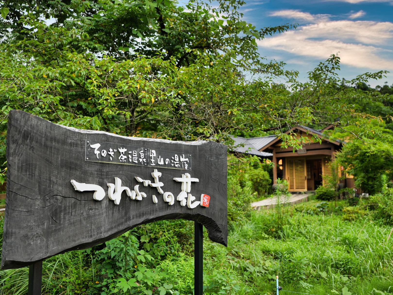 【つわぶきの花（温泉旅館）】-0