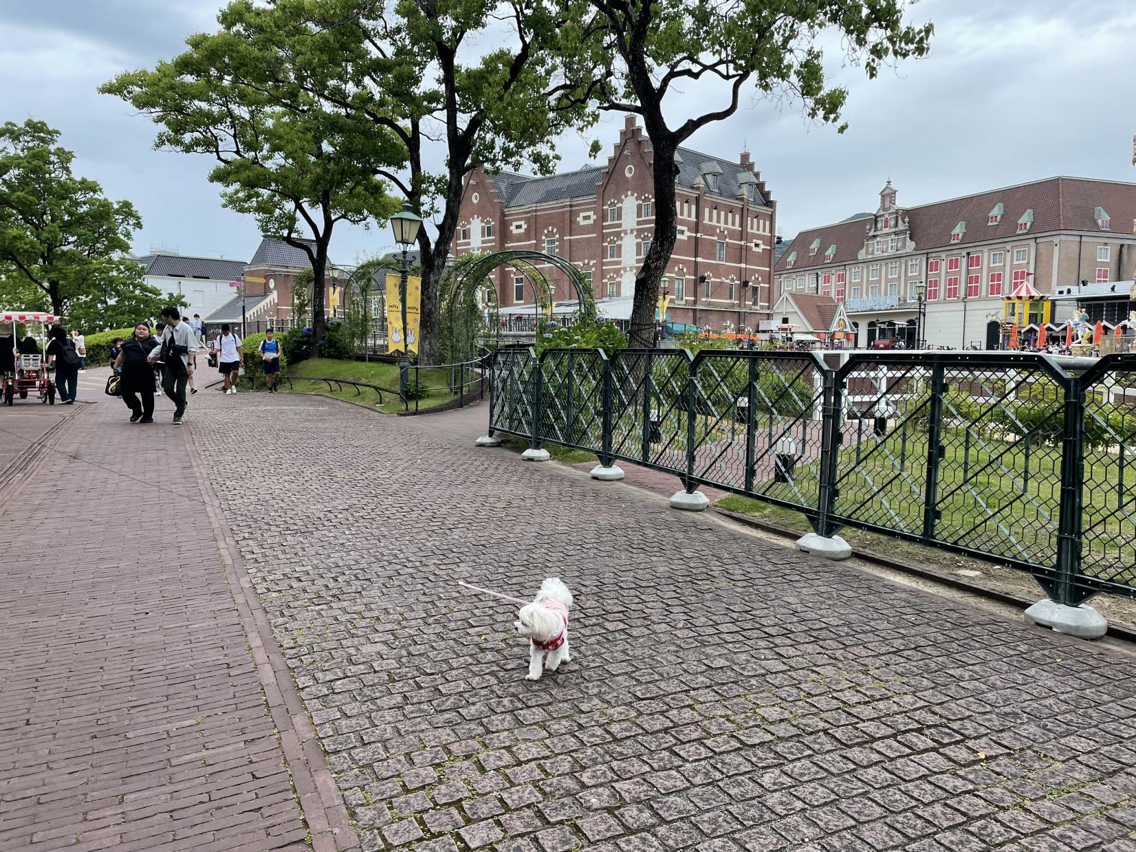 ⑤劇中に登場する道2（フラワーファンタジア近く）-1