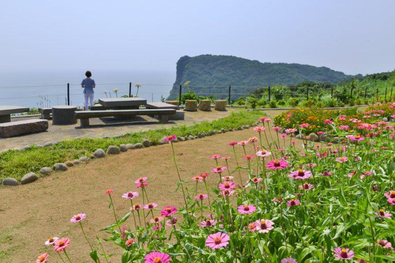 ④展望所から見渡す大海原に感動！-0