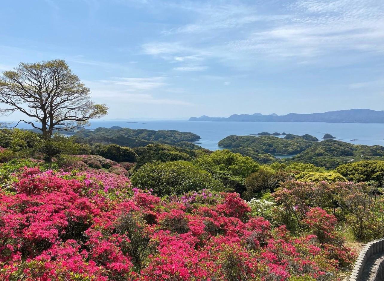 【春】長串山公園「長串山つつじまつり」-0