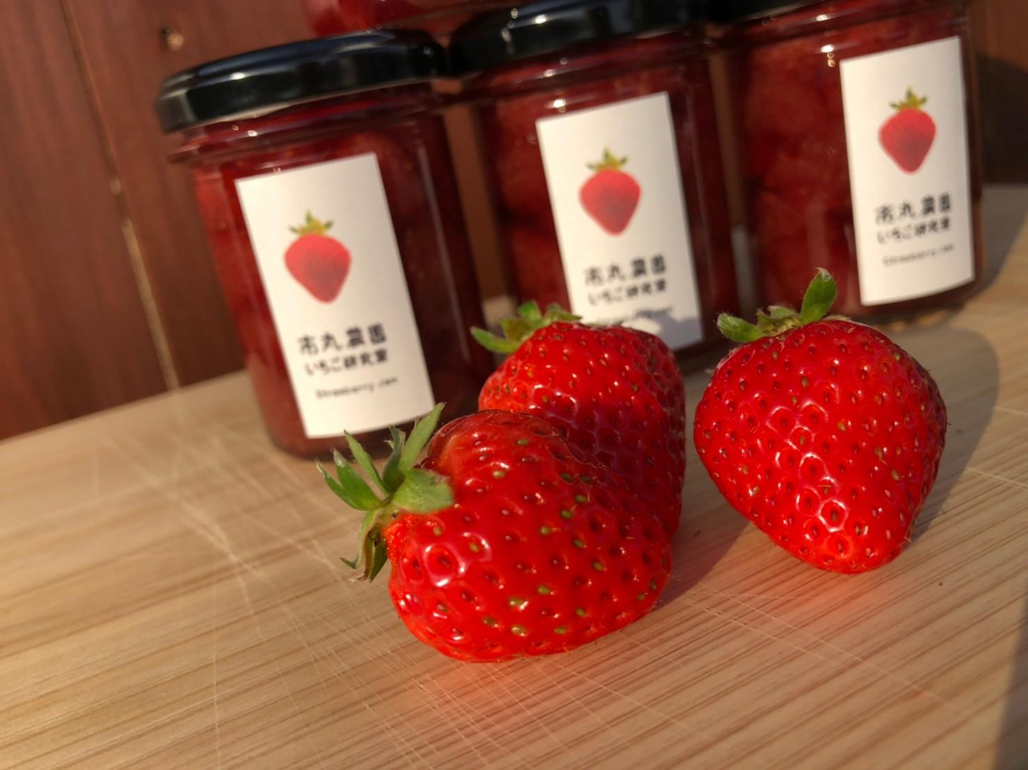 佐々町の美味しいスイーツ店～市丸農園いちご研究室～🍓-1