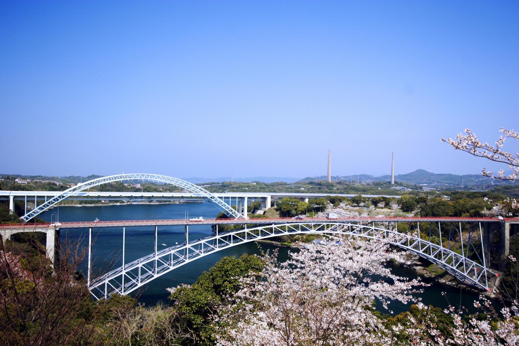 西海橋と桜の競演-1