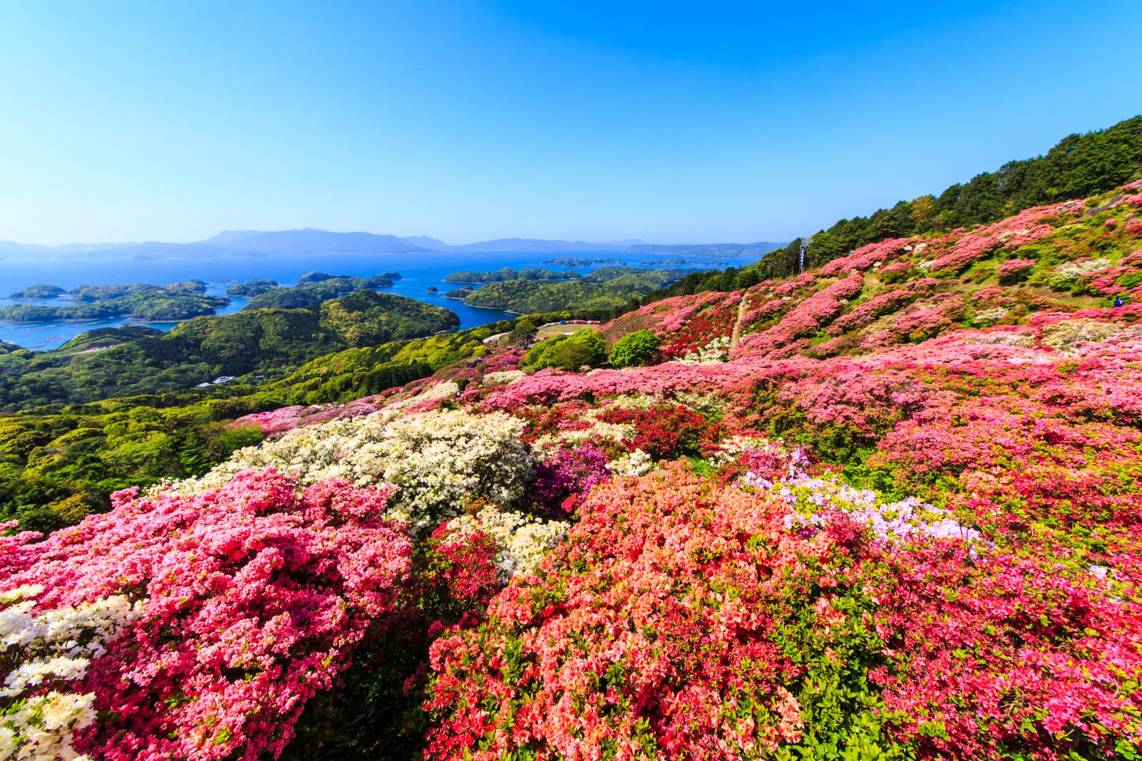 九十九島と長串山公園-1