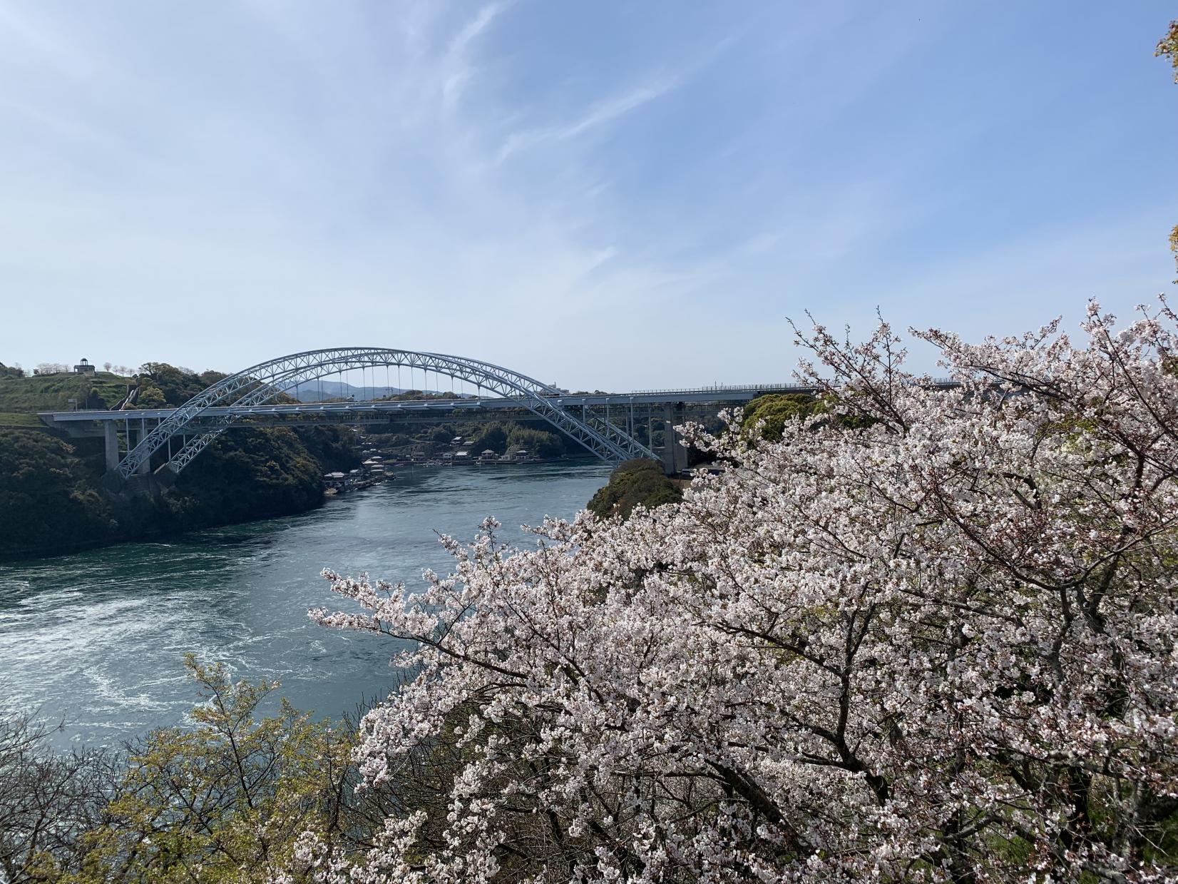 佐世保の桜　～郊外まで足をのばしてみませんか～-1