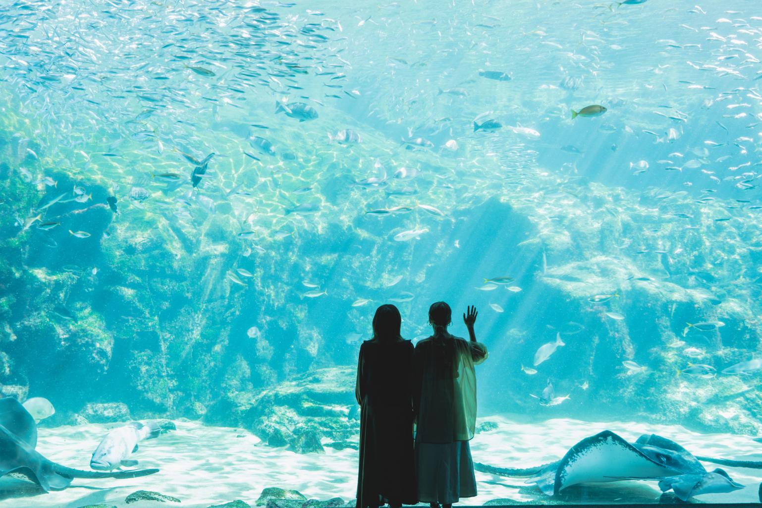 九十九島水族館海きらら