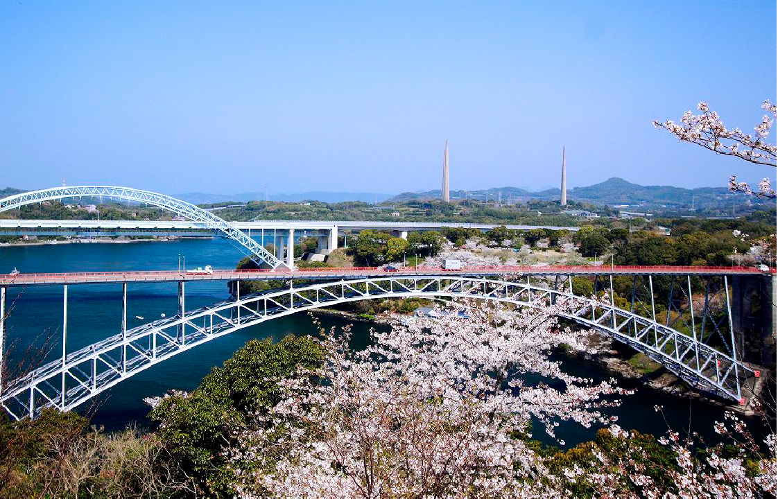 西海橋のうず潮と桜-1