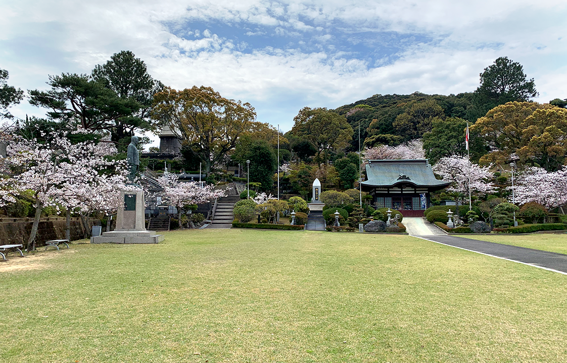 東公園（東山海軍墓地）の桜-1