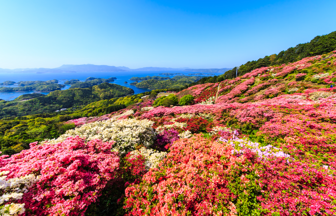 長串山（なぐしやま）のつつじ-1