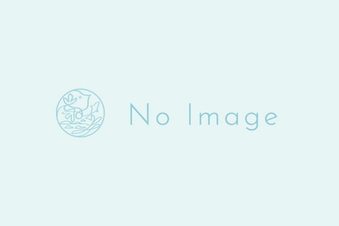 グラモフォン-1