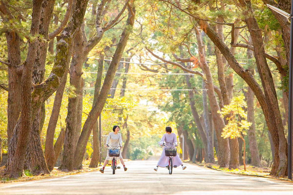 【1日目】レンタサイクルで島巡り-1