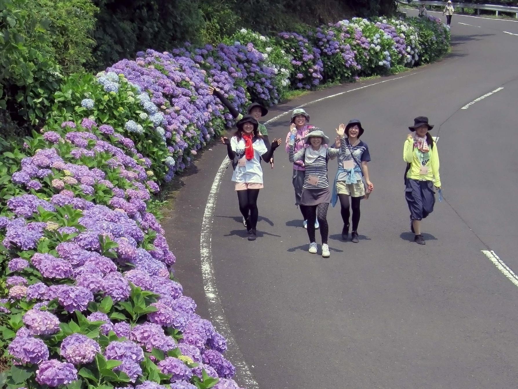 【1日目】6月はあじさい-1