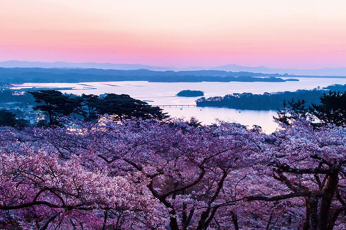 松島湾（宮城県）-1