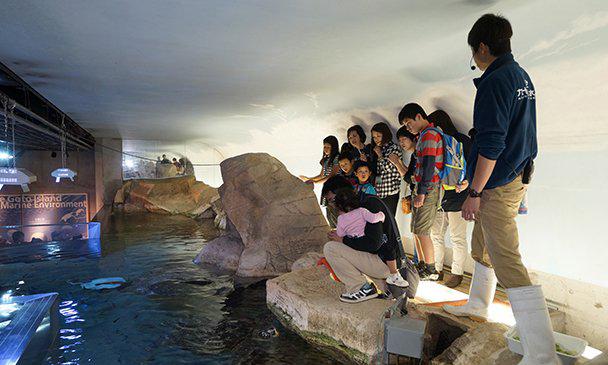 水族館ミステリーツアー-1