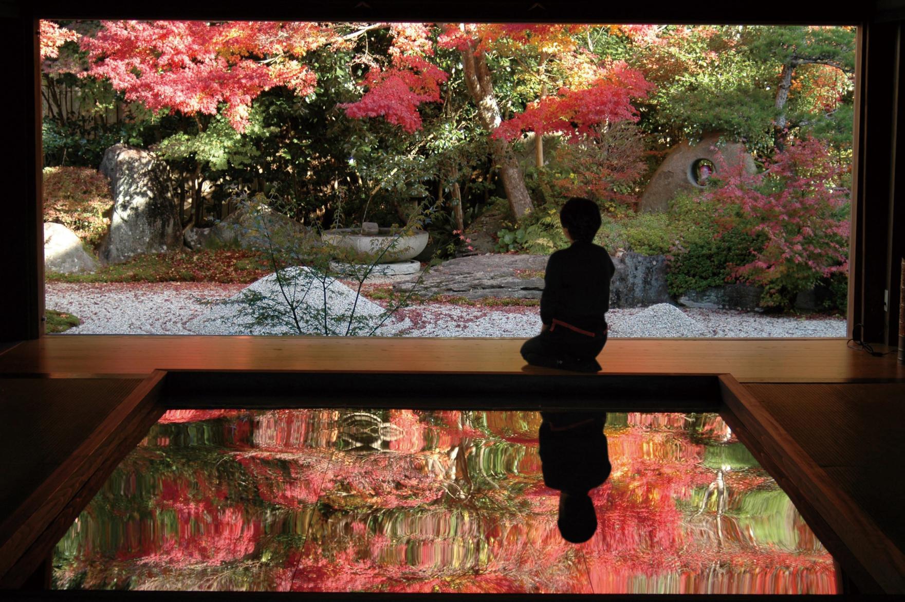 1．寿福寺 「逆さ紅葉」-0