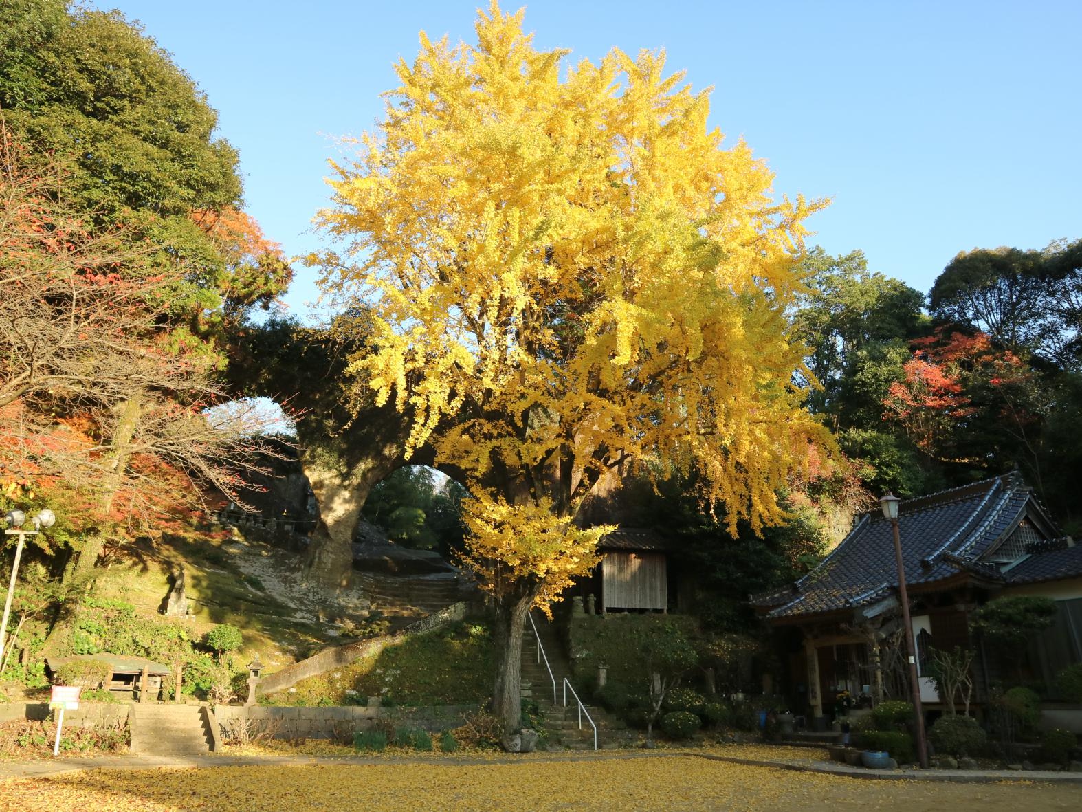 4．眼鏡岩-0