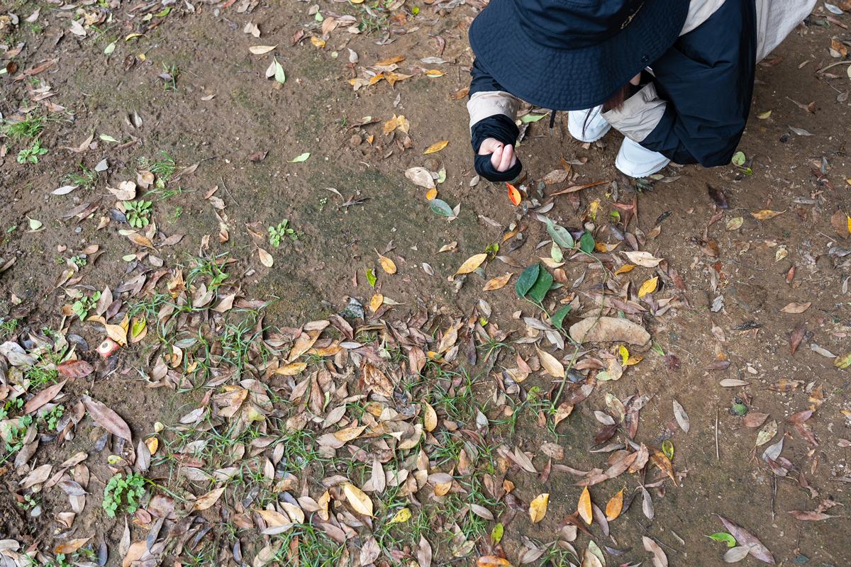 足元には矢じりが！お宝発見！？-0