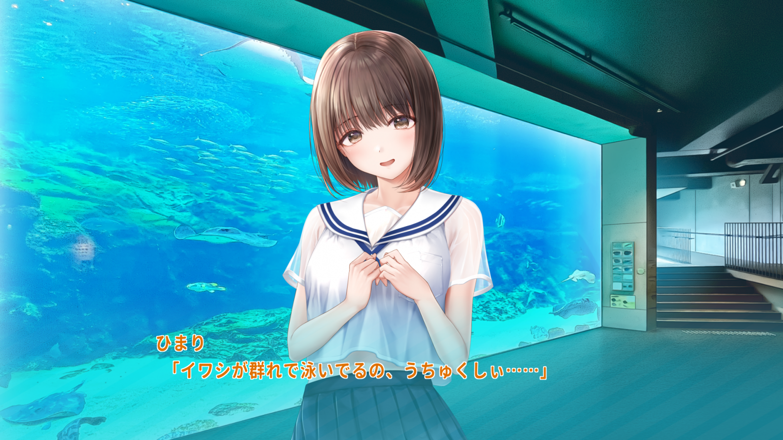 九十九島水族館海きらら-0