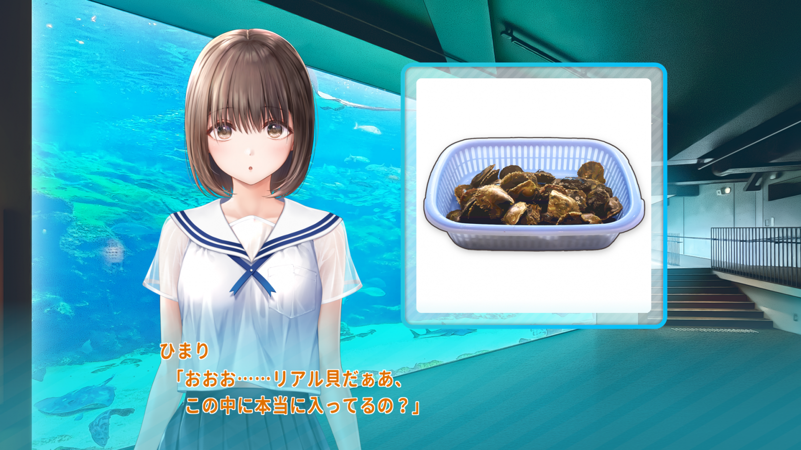 九十九島水族館海きらら-1