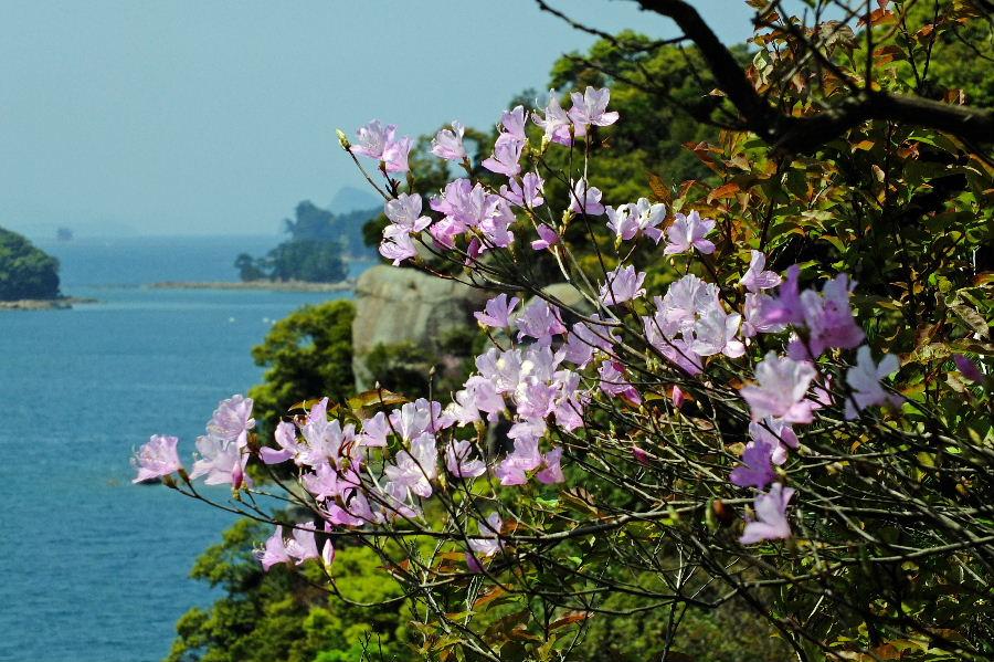 ここは地球の生きものたちのサンクチュアリ-2