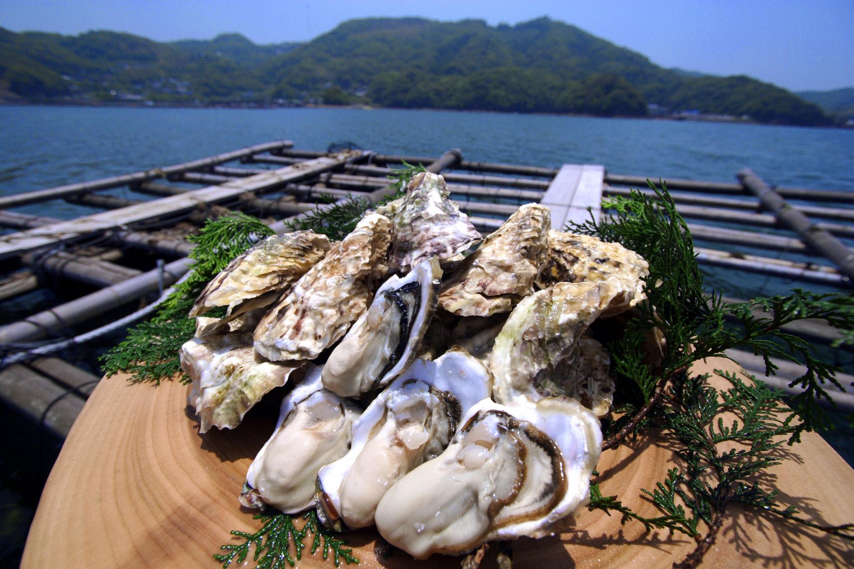 九十九島ひらまさを味わい尽くす贅沢ランチ〈ふじなが本店〉-1