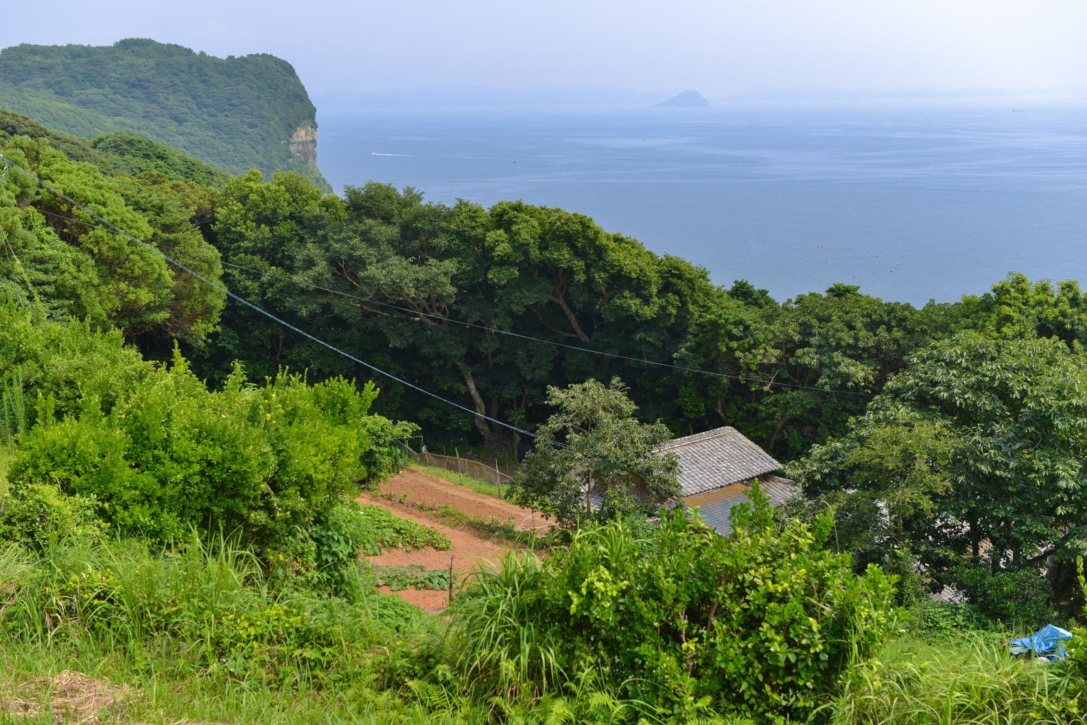 九十九島に浮かぶ祈りの島、信仰は今も暮らしの真ん中に。-0