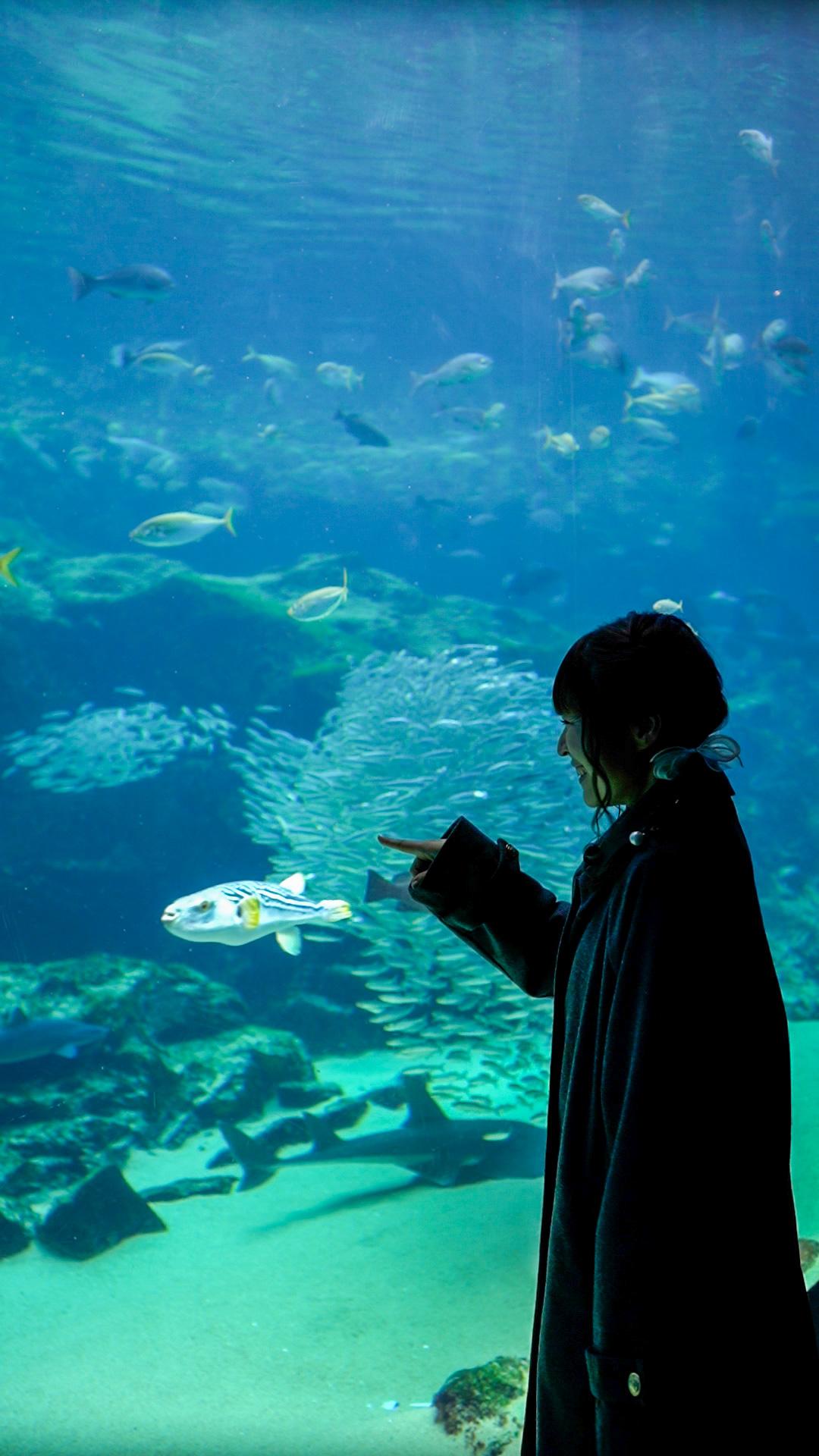5.【九十九島水族館　海きらら】水しぶき上がるイルカのプログラムが大人気。-1