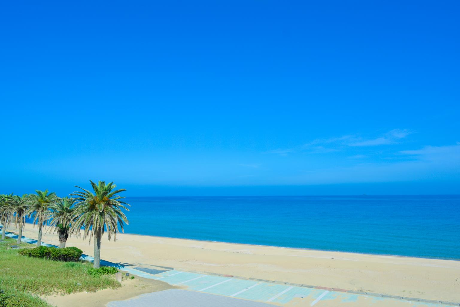 水平線が丸く見える常夏の島、海の大パノラマに感動。-2