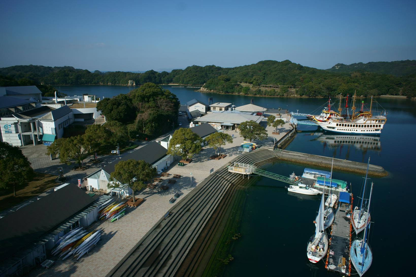 九十九島の海の世界へダイブ！「九十九島水族館海きらら」-0