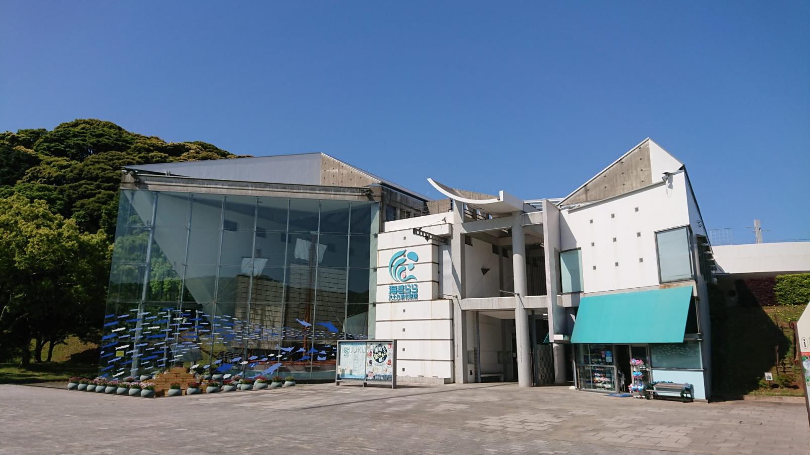 九十九島の海の世界へダイブ！「九十九島水族館海きらら」-1