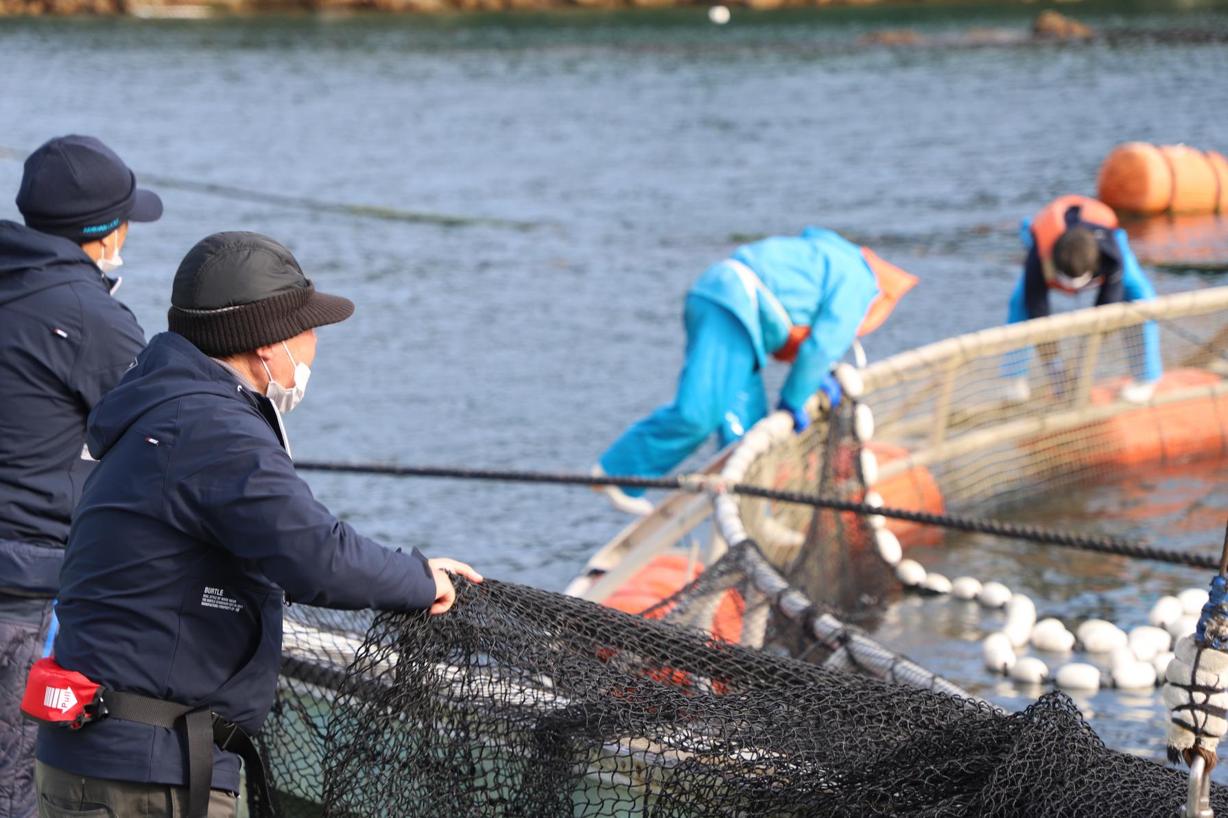 九十九島の恵みをまるごと味わう「九十九島ひらまさ」-6
