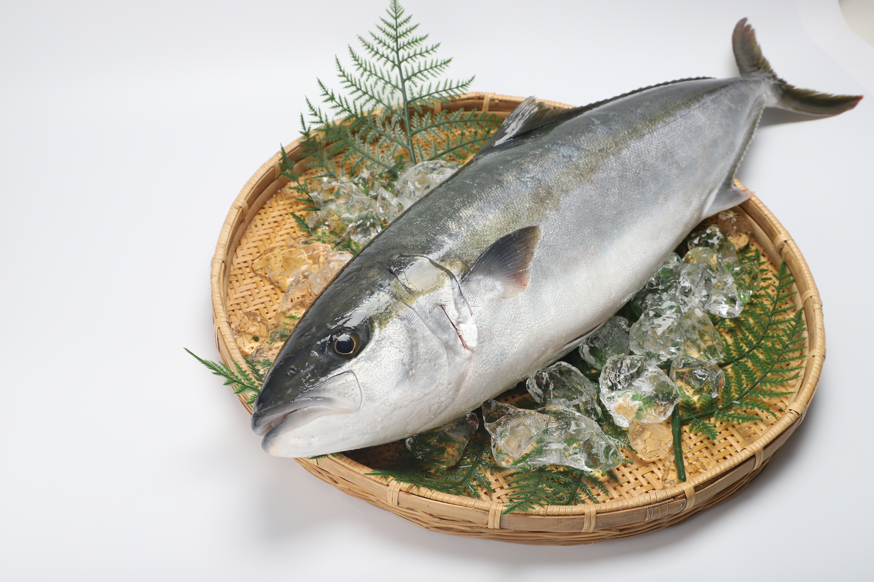 九十九島の恵みをまるごと味わう「九十九島ひらまさ」-0