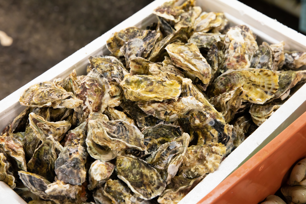 新鮮な山海の幸と、朝市ならではの味わい-1