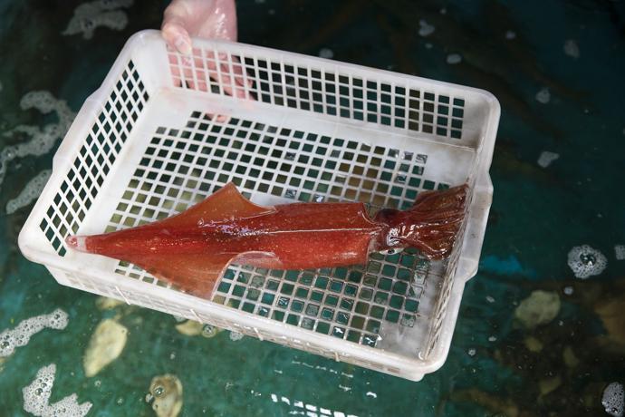 ③季節の味処　しぐれ茶屋-3