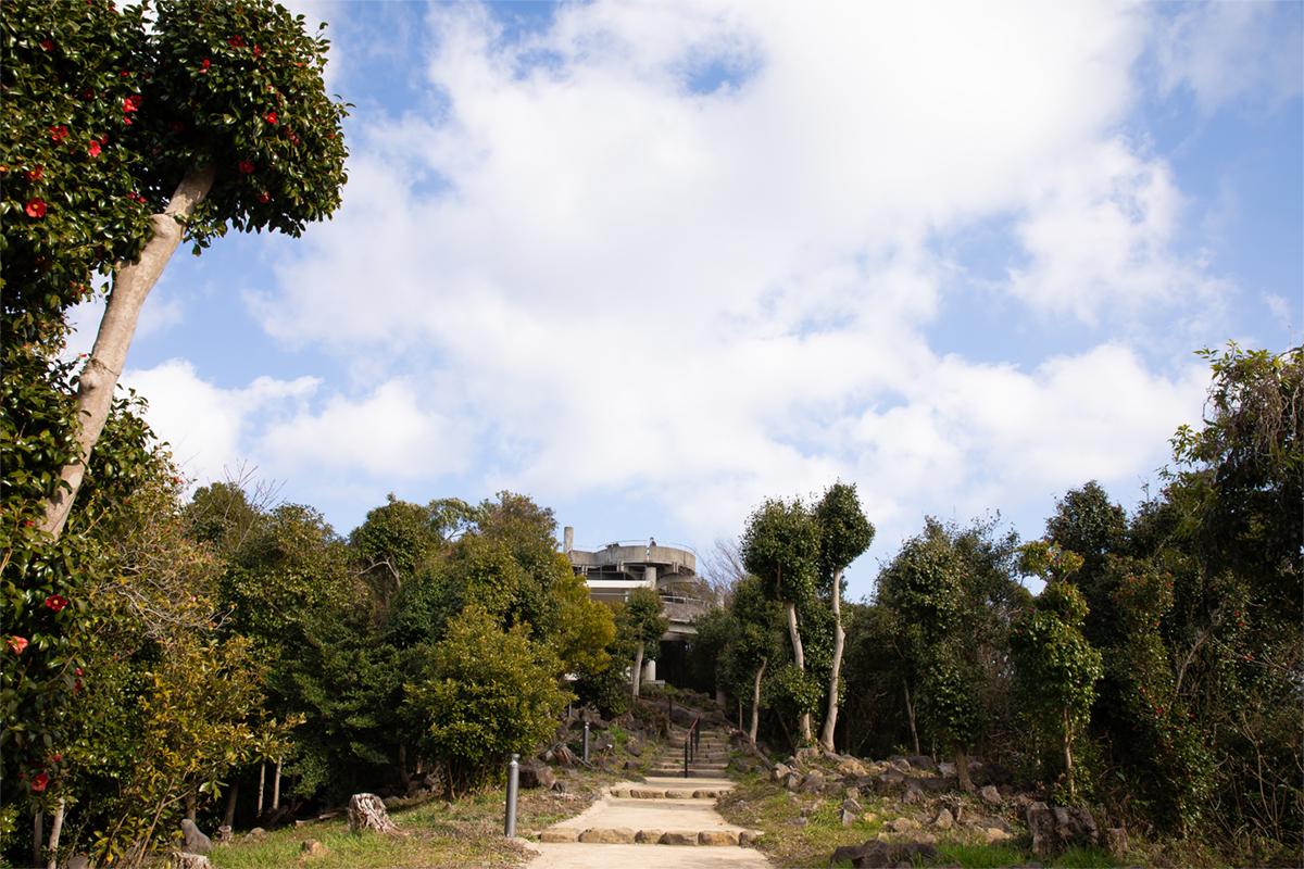 展望台から「九十九島」の絶景を望む-1