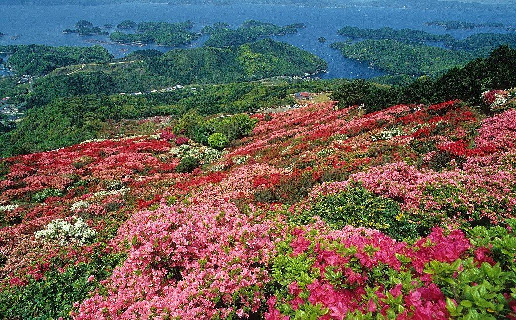 九十九島北部を望む絶景山キャンプ！約10万本のつつじの絨毯広がる「長串山」へ-3