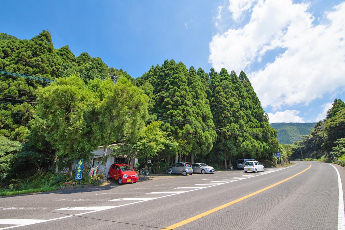 地元民気分で味わおう！森の中の隠れた名店「国見うどん」-7