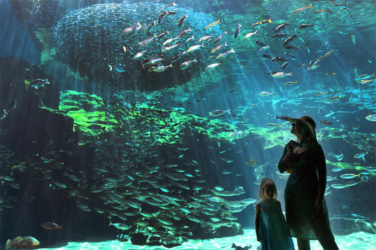 九十九島水族館海きらら-0