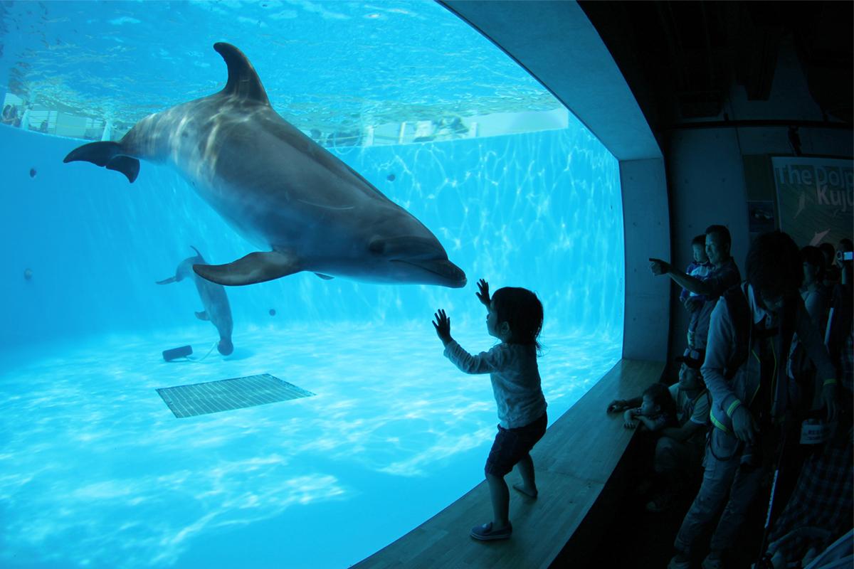 九十九島水族館海きらら-1