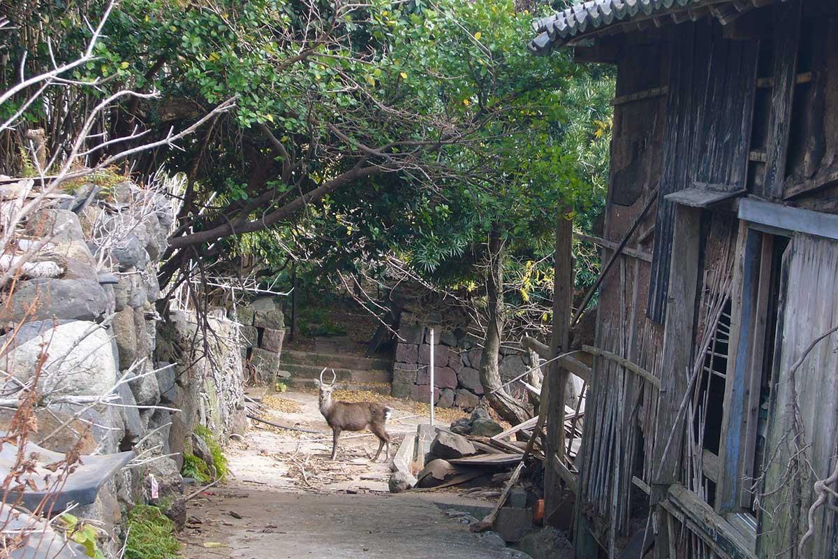 古来からの信仰との共存「野崎島の集落跡」-2