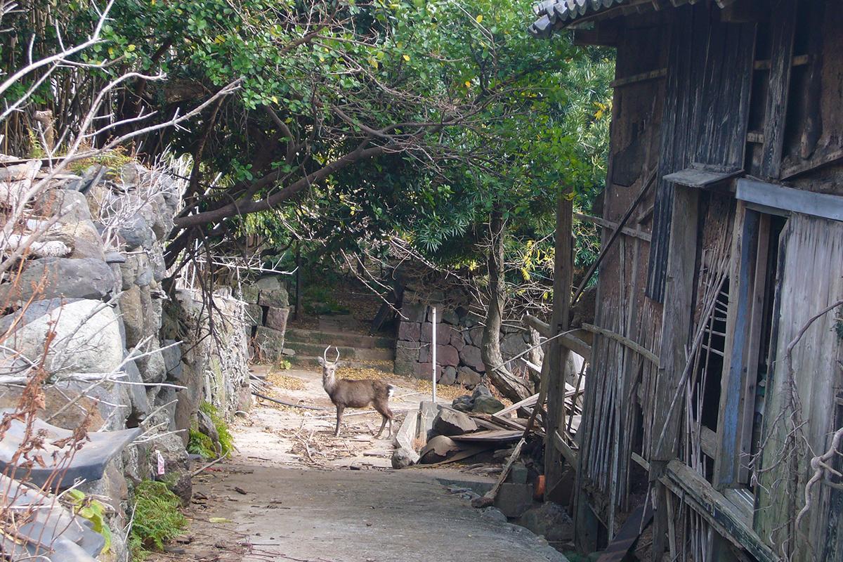 潜伏キリシタンに想いを馳せる　小さな島の世界遺産に触れる旅-6