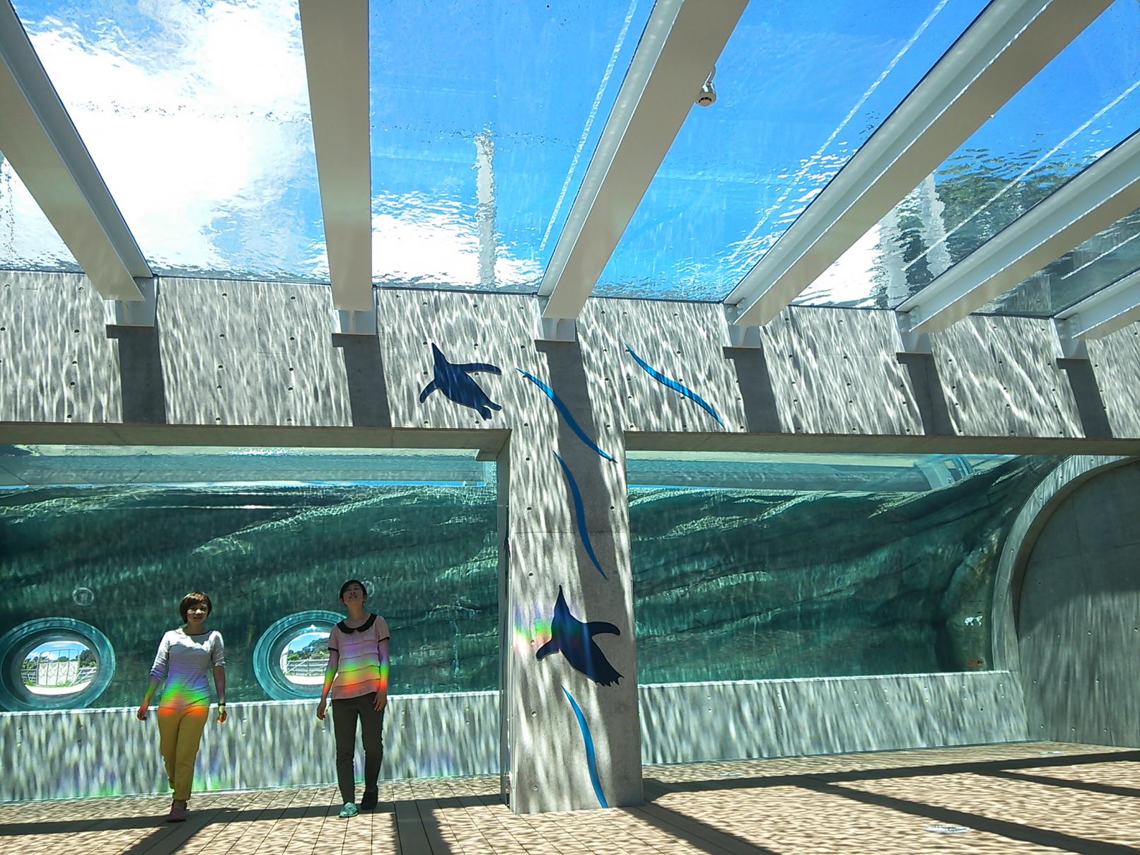 【B賞】九十九島動植物園森きららペア入園券（10組様）-17